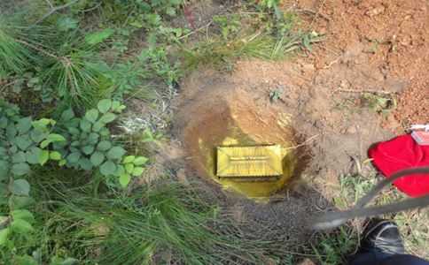 种生基的费用高的原因