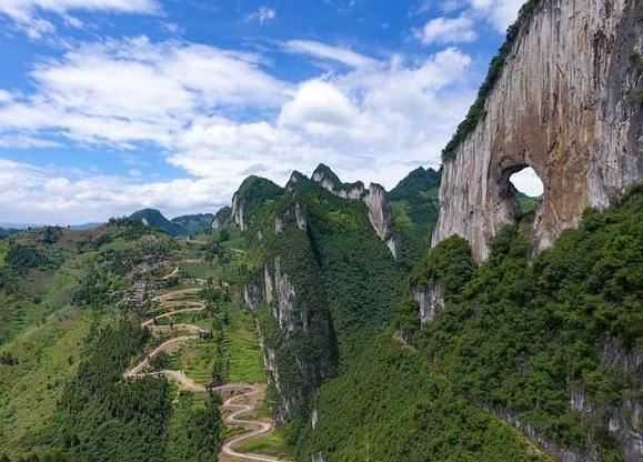 什么时候开始有种生基？