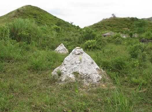 种生基治病是否有用