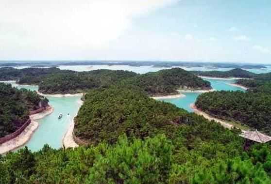 广西哪里种生基比较好,分享一个风水宝地