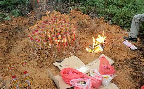 种生基需要什么东西，提前做好这些即可