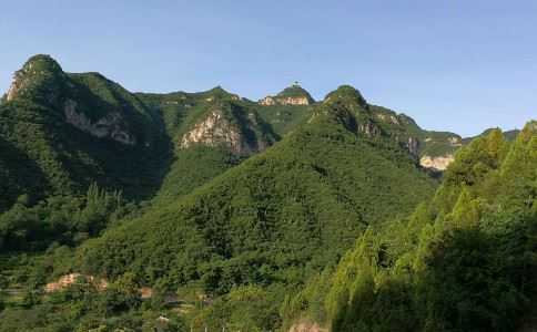 种生基是否真的有效?这些就是依据