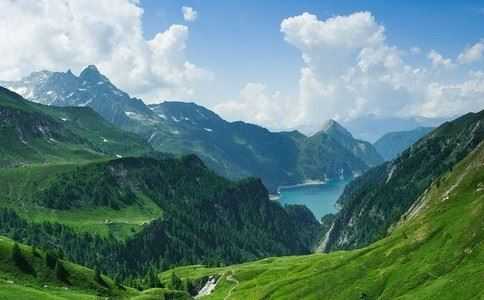 种生基的作用，做生基后的反应