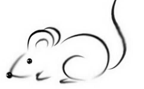 84年属鼠一生大劫年需要我们这样化解