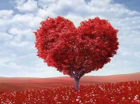 如果离婚了_如何挽回婚姻？