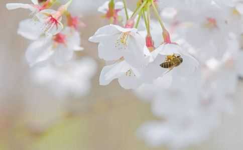 这些很灵的转运小方法一定要收藏