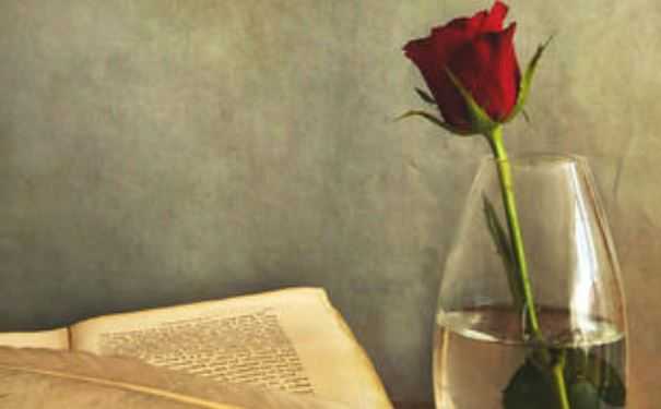 想挽回我的前男友  降低需求感是前提