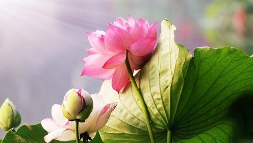 接财神补财库 助你拥有好财运