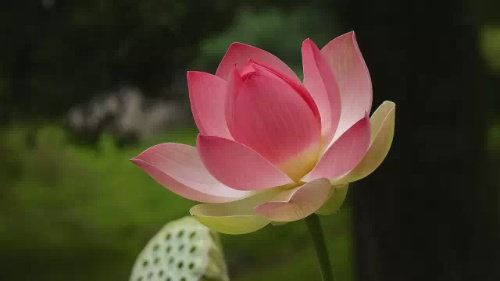 农村起房选日子有时比结婚还讲究 黄道吉日是首选