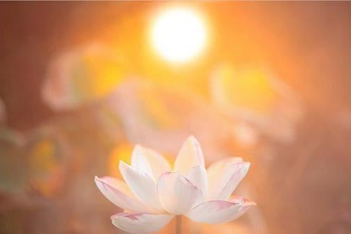 老黄历黄道吉日给我们很多的参考 来看看都可以做哪些事情