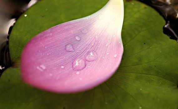 万年历黄道吉日吉时查询  5月份适合破土的日子