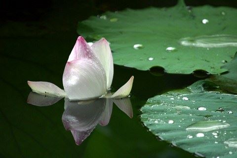 记得超度老祖宗 否则会让我们运程受阻