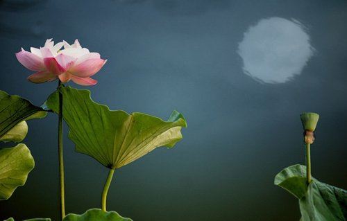 看日子搬家黄道吉日 优先考虑房主 午时之前搬家