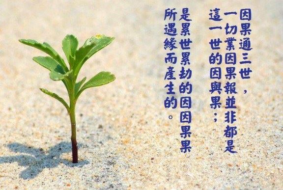 属羊化太岁实用方法