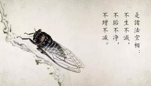 什么是犯太岁本命年不只是拜太岁