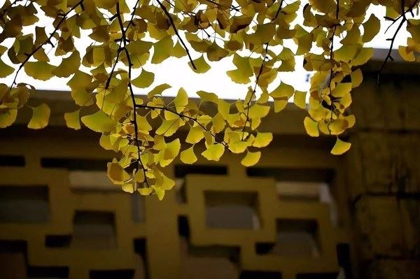 堕胎的因果报应真的存在吗?堕胎的果报