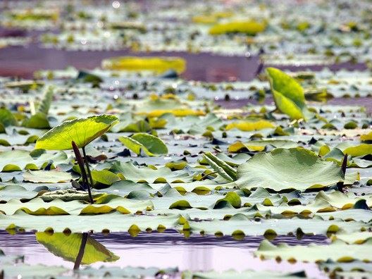 女人婚外情的因果报应 你一定不要出轨做做小三