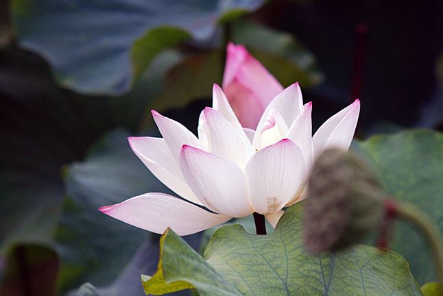 刑太岁化解方法_什么时候起效果