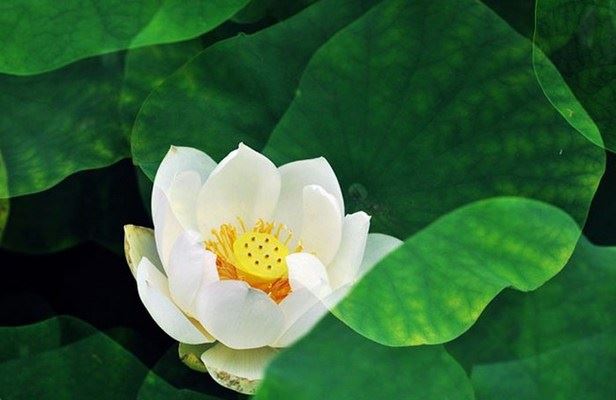 分享挽回前男友成功经验_让他回到你身边