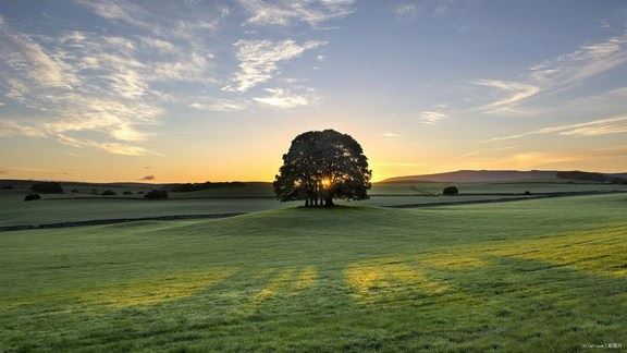 家里风水怎么摆聚财?风水上最快聚财的方法