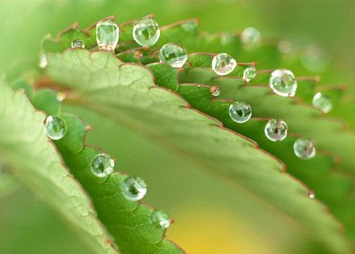店铺风水宜忌 选店铺一定不要选这样的