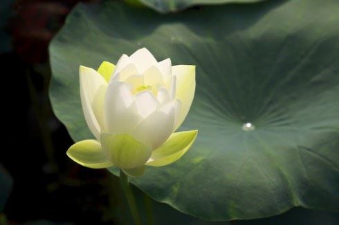 二次吸引挽回前男友_要对自己有自信