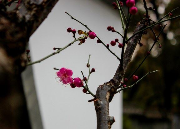 挽回前男友后他说只做朋友应该怎么办