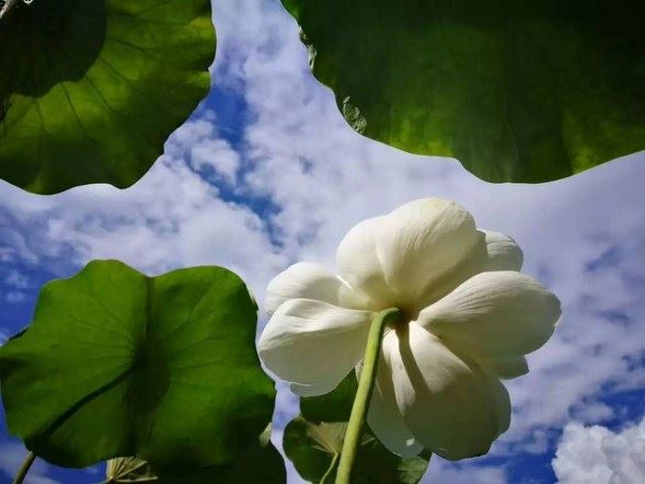 运气不好怎么转运?本命年戴什么转运?