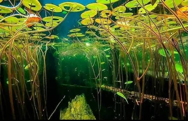 挽回前男友的攻略三部曲