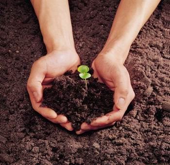 鼻子肉痣的面相分析